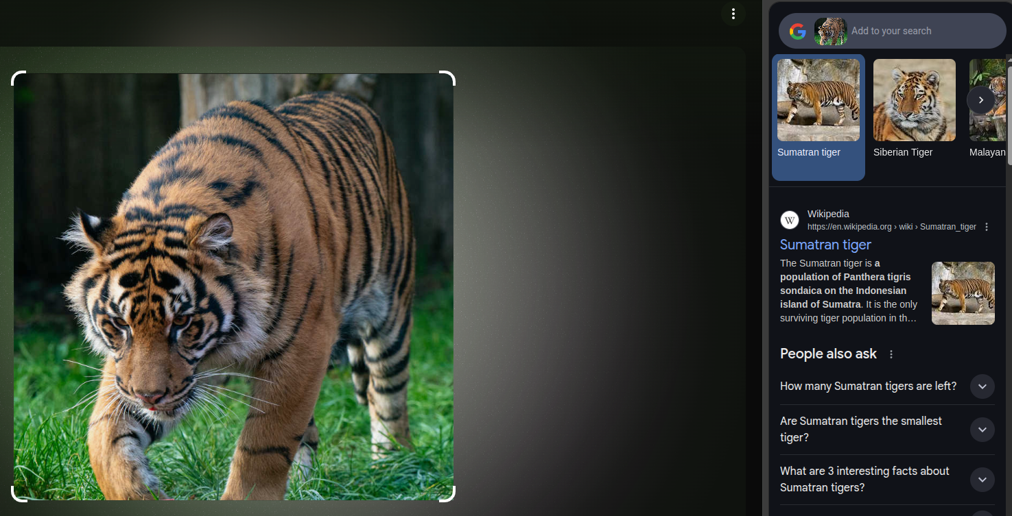 Google Lens Google Lens