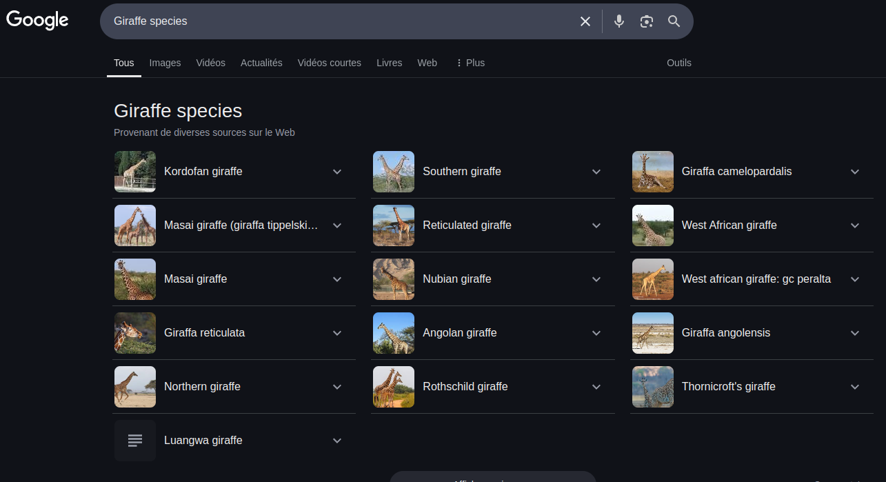 Google Search Google Search