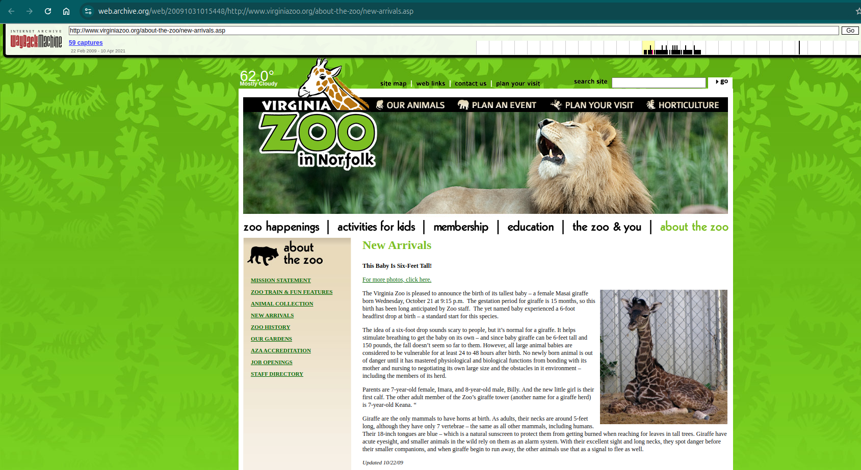 Wayback Machine Wayback Machine