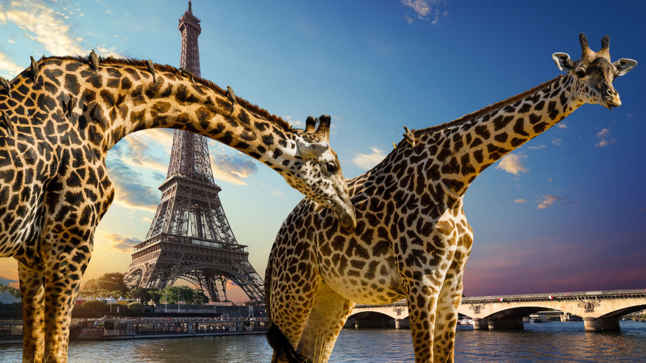 Spot the Location Spot the Location